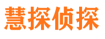 广南市侦探公司